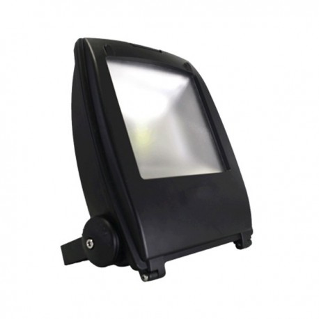 Projecteur LED Flood FT170